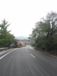 忠縣公路養護工程順利完成 路橋附屬工程建筑勞務分包助推項目建設